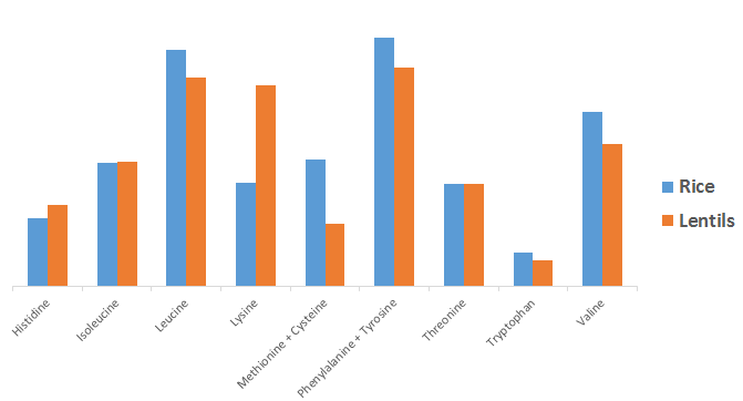 rice vs lentils bar graph