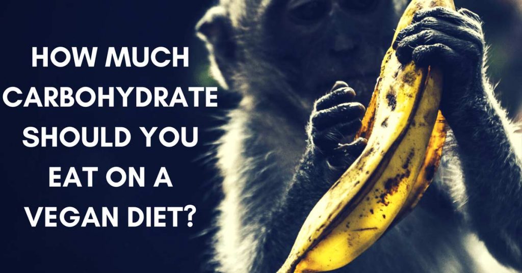 CARBOHYDRATE VEGAN DIET