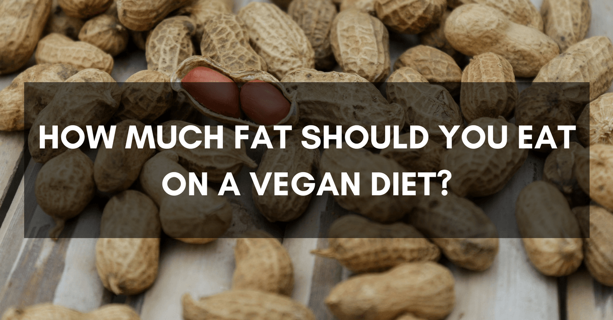 fat vegan diet fat vegan diet