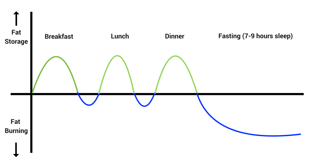 INSULIN FAT