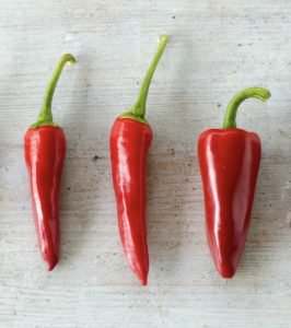 chilli peppers