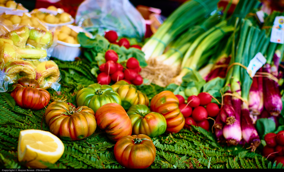 vegan meal plan