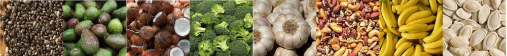 Banner of fruit and vegetables