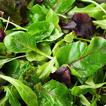 Leafy Greens