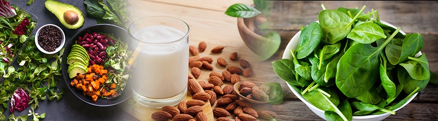 vegan sources of calcium