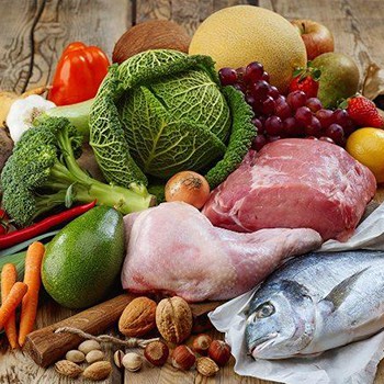 Paleo Diet