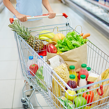 vegan grocery list