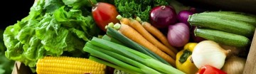 veganism