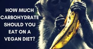 CARBOHYDRATE VEGAN DIET