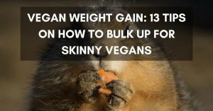 13 Tips on How to Gain Weight for Skinny Vegans (1)