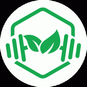 VL logo icon