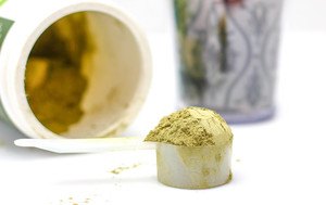 scoop of protein powder