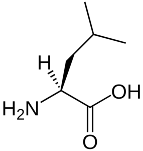 Leucine
