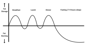 INSULIN FAT food chart