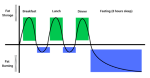 fat storage and burning food chart