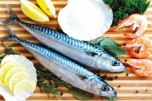 fish