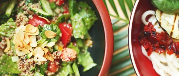 Best Vegan Meal Plan
