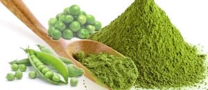 pea-protein-powders-2-0