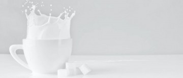 best vegan calcium supplement
