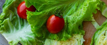 Tips for Daily Nutrition