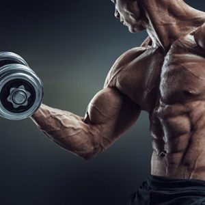 Is CBD oil good for muscle growth