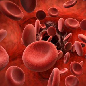 Why should you take Nitric Oxide supplements