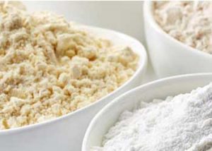 protein powder
