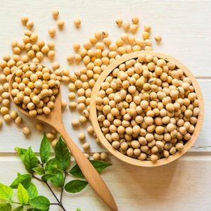 Soy