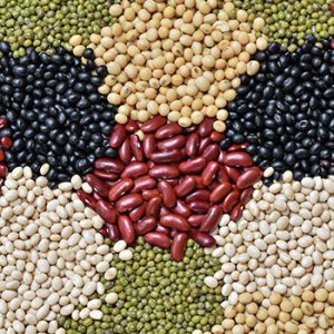 Protein Seeds