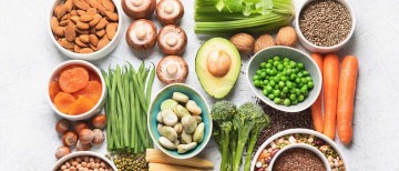 plant based protein