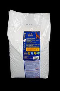 Evolution Food for Dogs