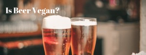 Is Beer Vegan
