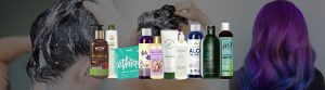 Best Vegan Shampoo FAQ