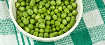 best pea protein powder