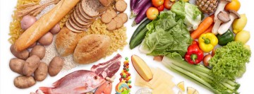 digestive enzymes vs probiotics