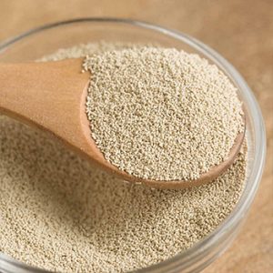 Spoon of Bakers yeast