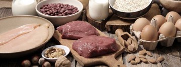 protein sources