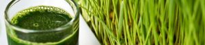 green juice and wheat