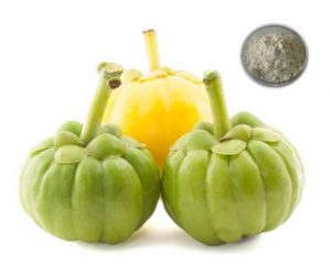 Garcinia Fruit Extract
