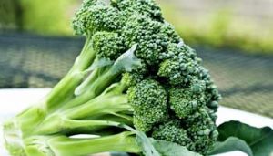 broccoli