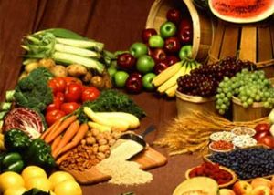 food nutrients