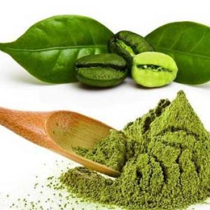 green coffee bean extract