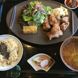 vegan meat set