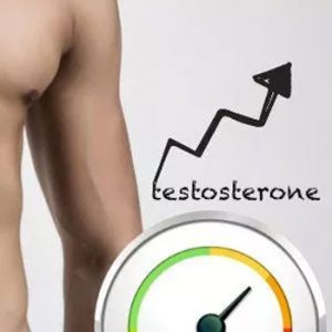 testosterone levels
