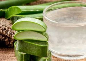 aloe vera