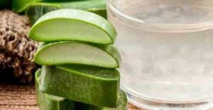 aloe vera