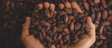cocoa header