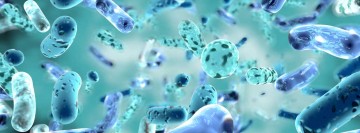 probiotics header banner