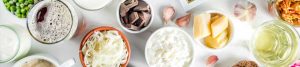 probiotic ingredients