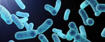 probiotics header